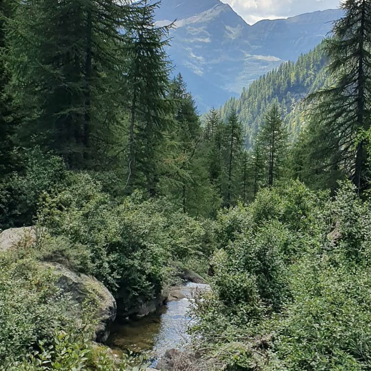 Lago del Vannino景点图片