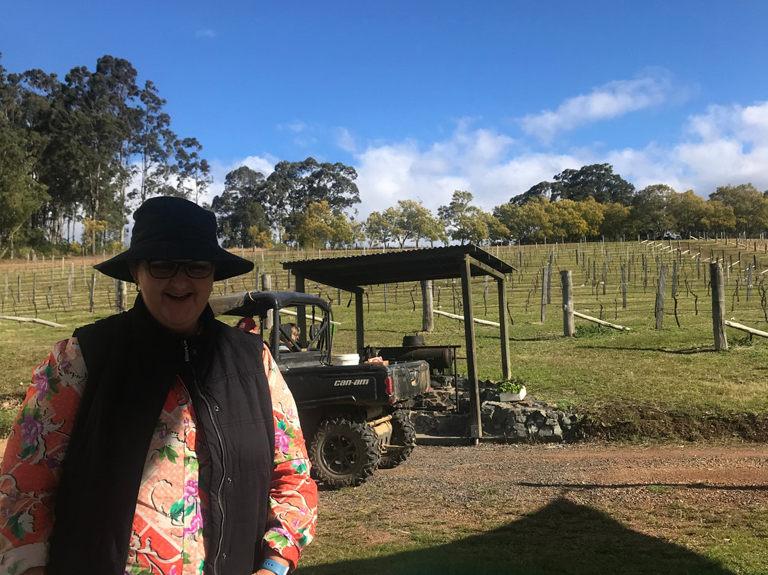 Villa d'Esta Vineyard-Dyers Crossing必去景点