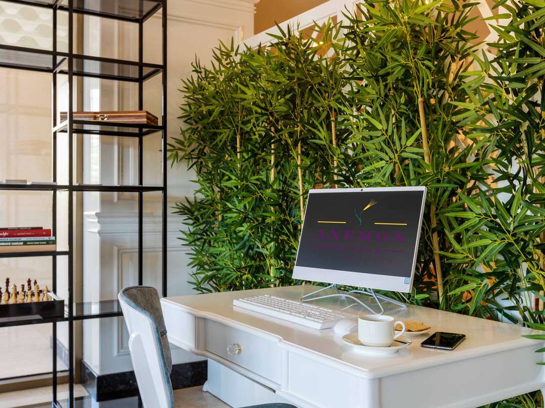 Anemon Diyarbakir主图