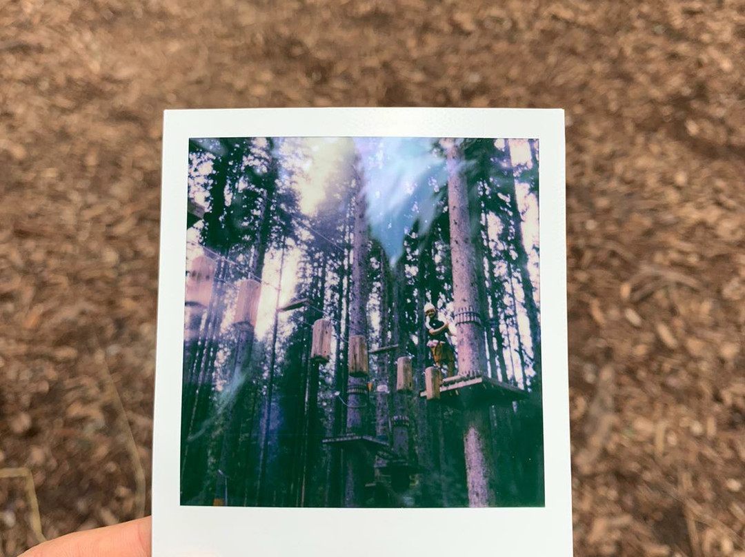 Agility Forest San Martino di Castrozza景点图片
