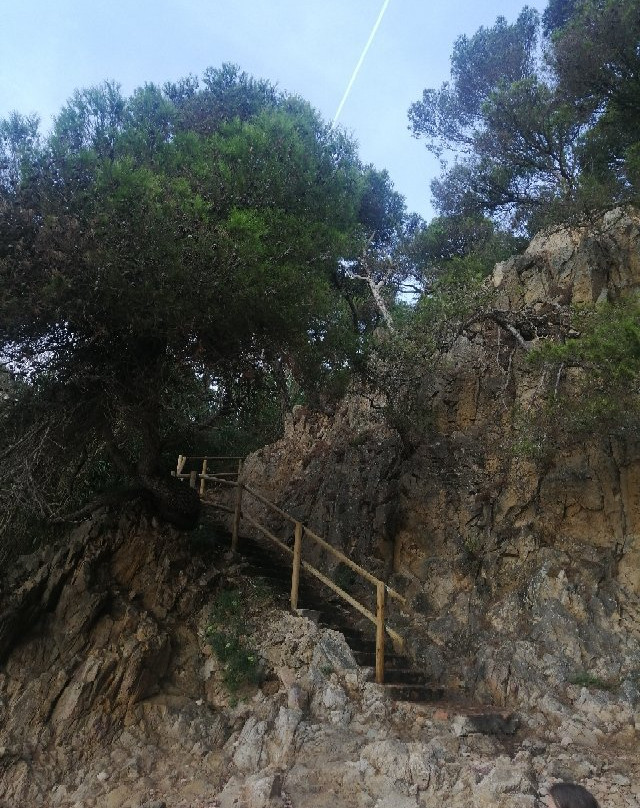 Aigua Xelida景点图片