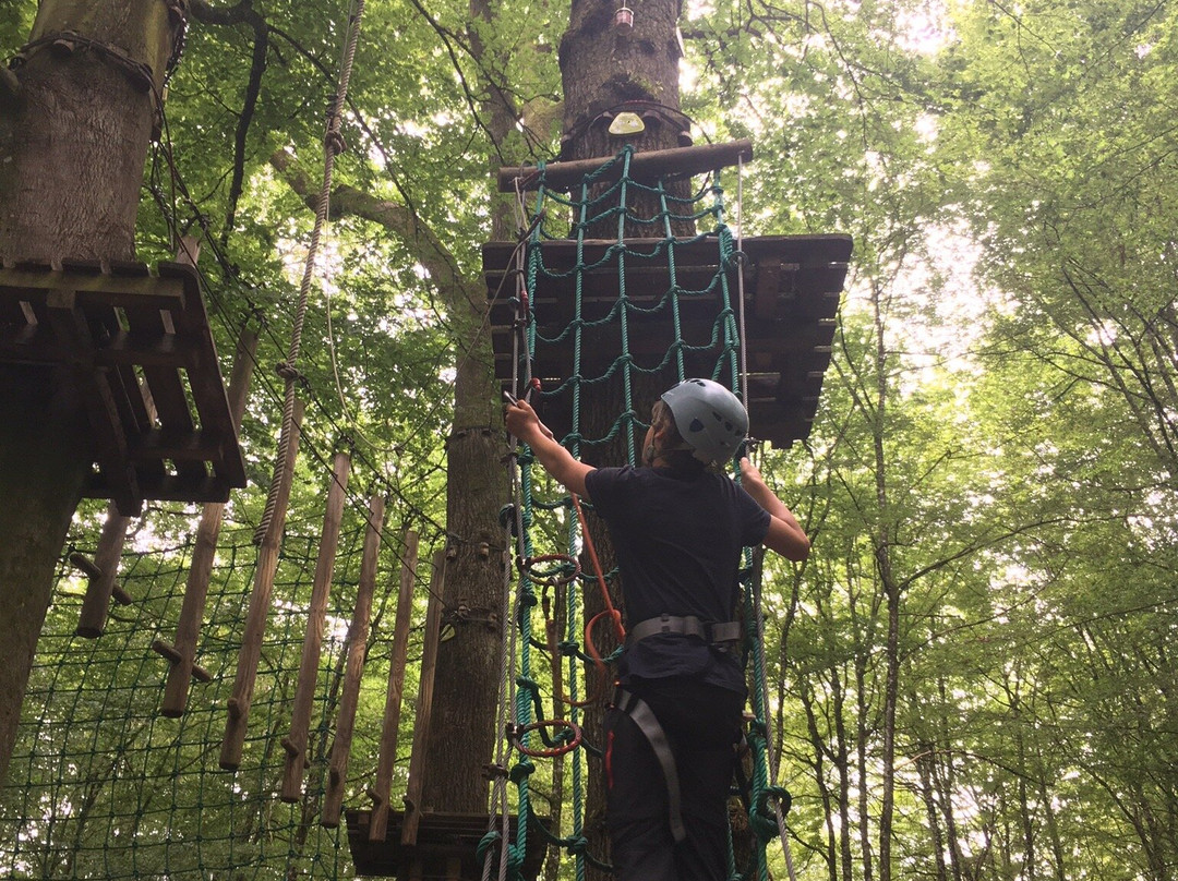 Le Chene Perche - Parc Accrobranche-Signy-l'Abbaye必去景点