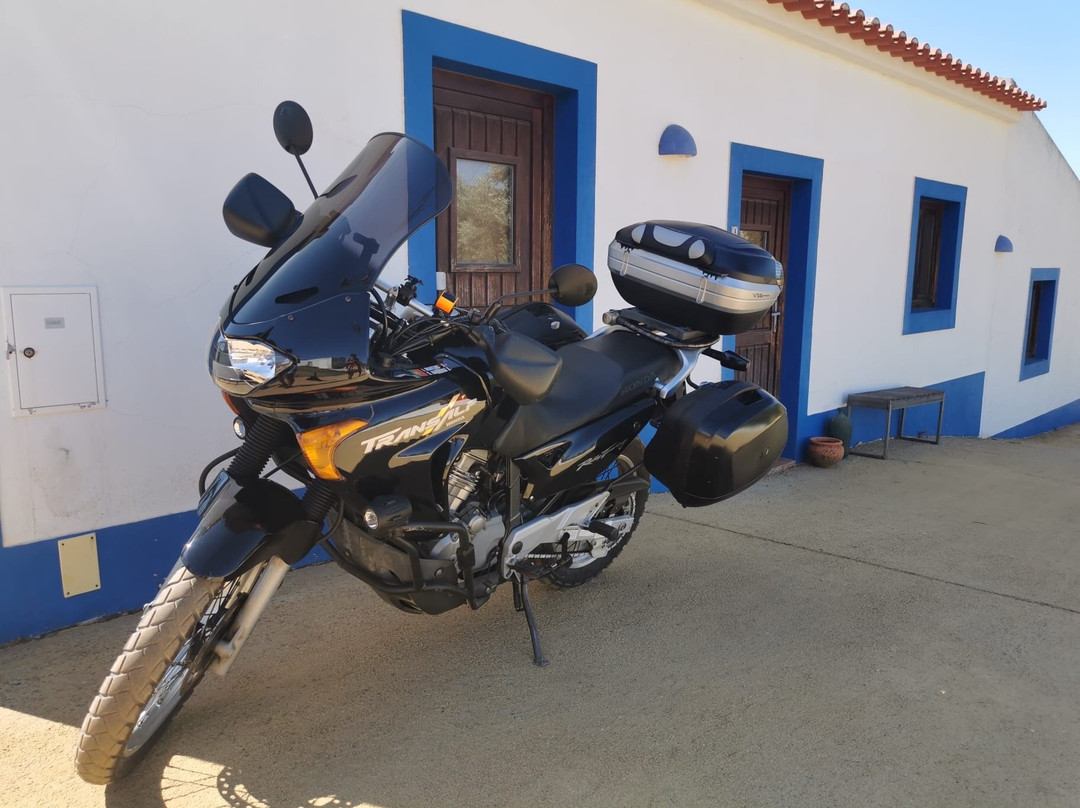 The New Laziness主图