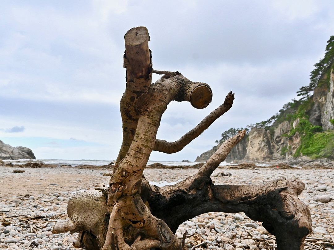 Sasagawa Nagare-村上市必去景点