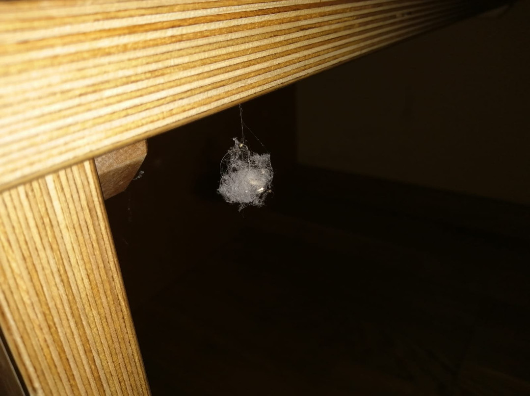 JUFA Hotel Wangen im Allgäu主图