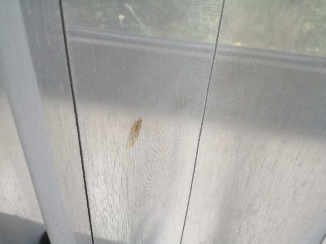 JUFA Hotel Wangen im Allgäu主图