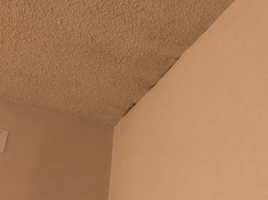 Holiday Inn Express & Suites Stamford by IHG