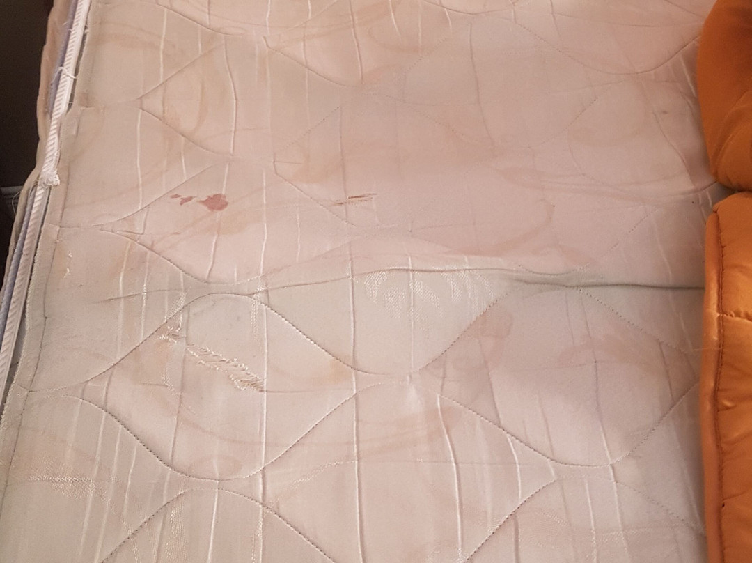 萨凡纳科尔多瓦酒店主图