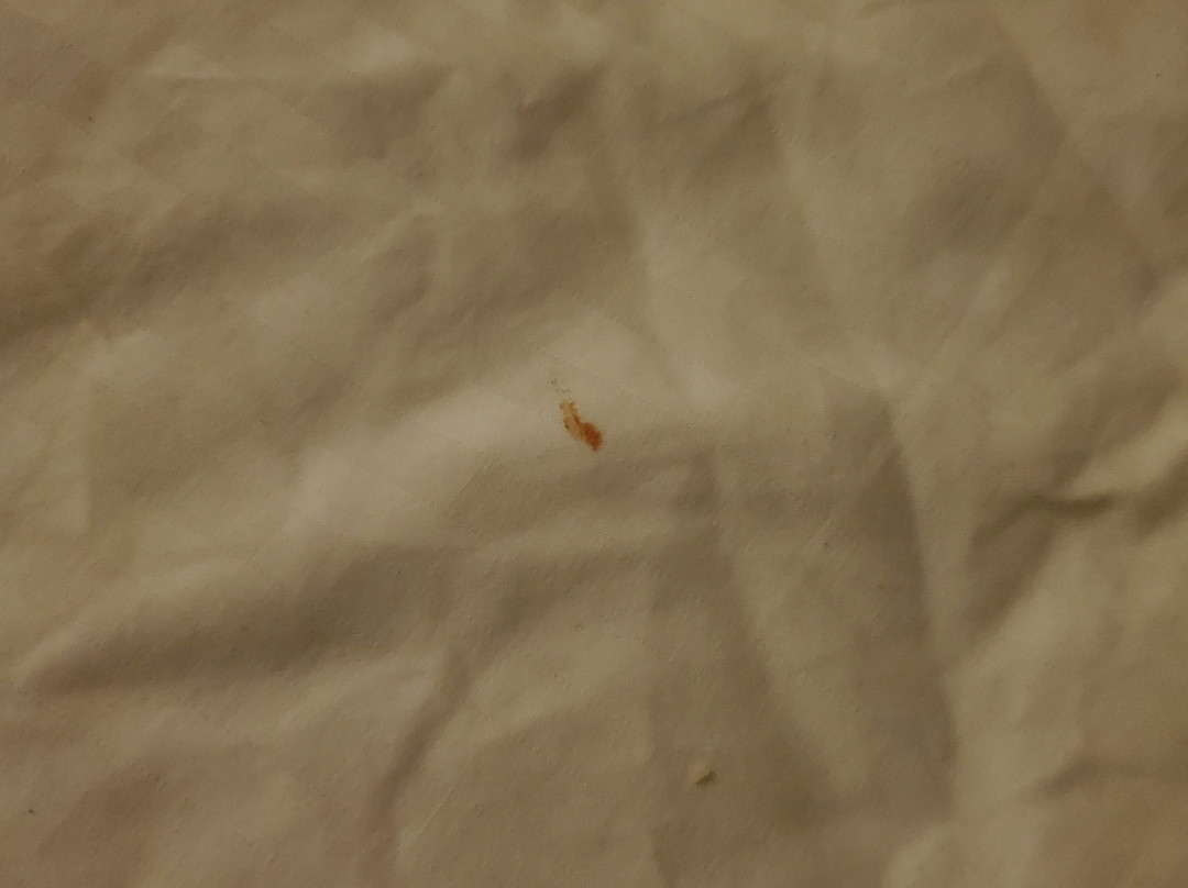 Western Star Inn & Suites主图