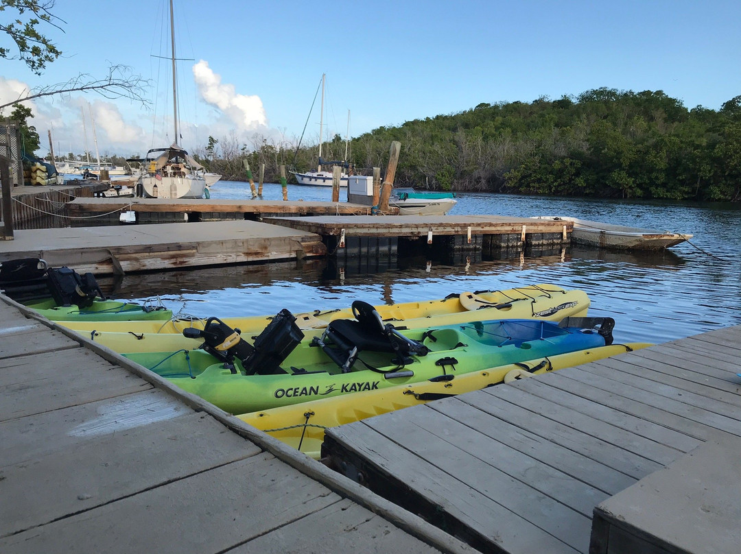 Virgin Island EcoTours - St. Thomas Tours-圣 托马斯必去景点