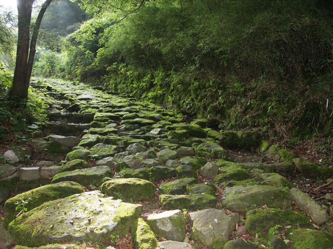 箱根旧石铺路-箱根町必去景点