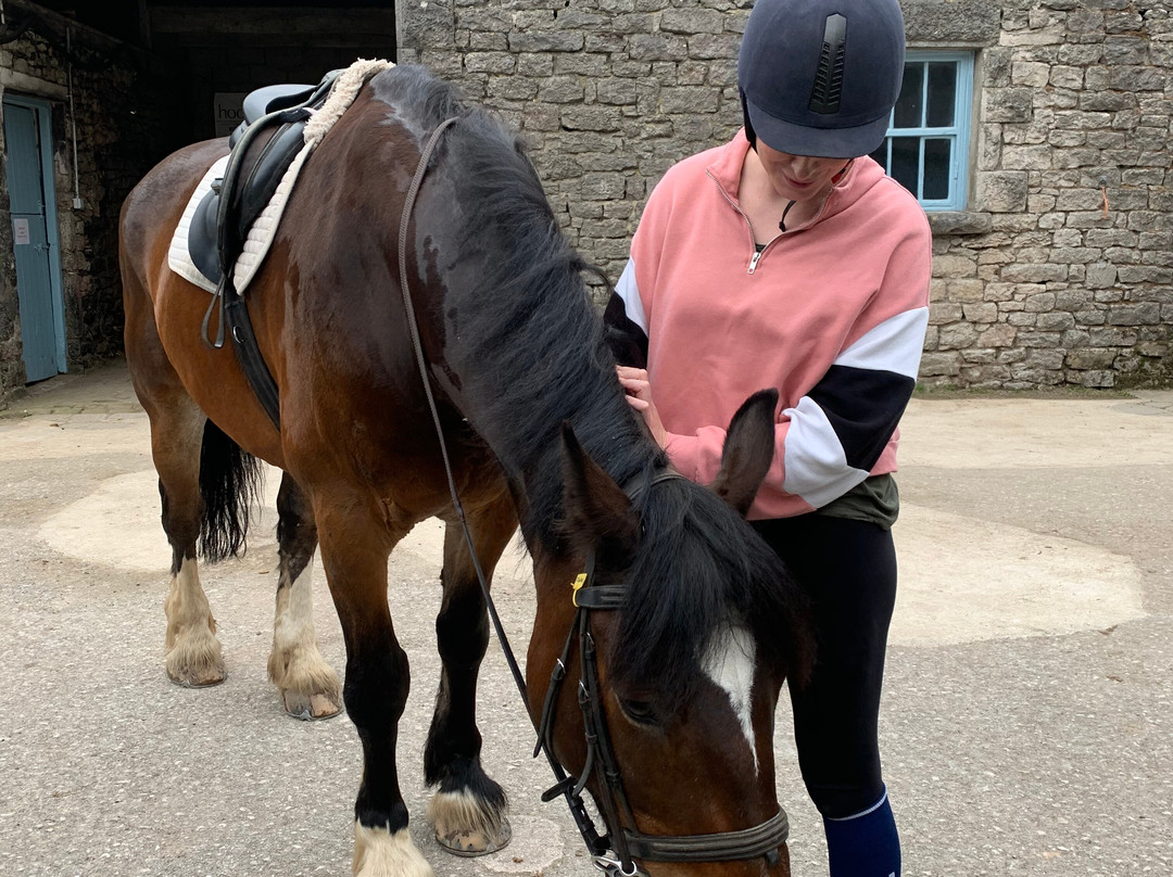 Witherslack Hall Equestrian Centre景点图片