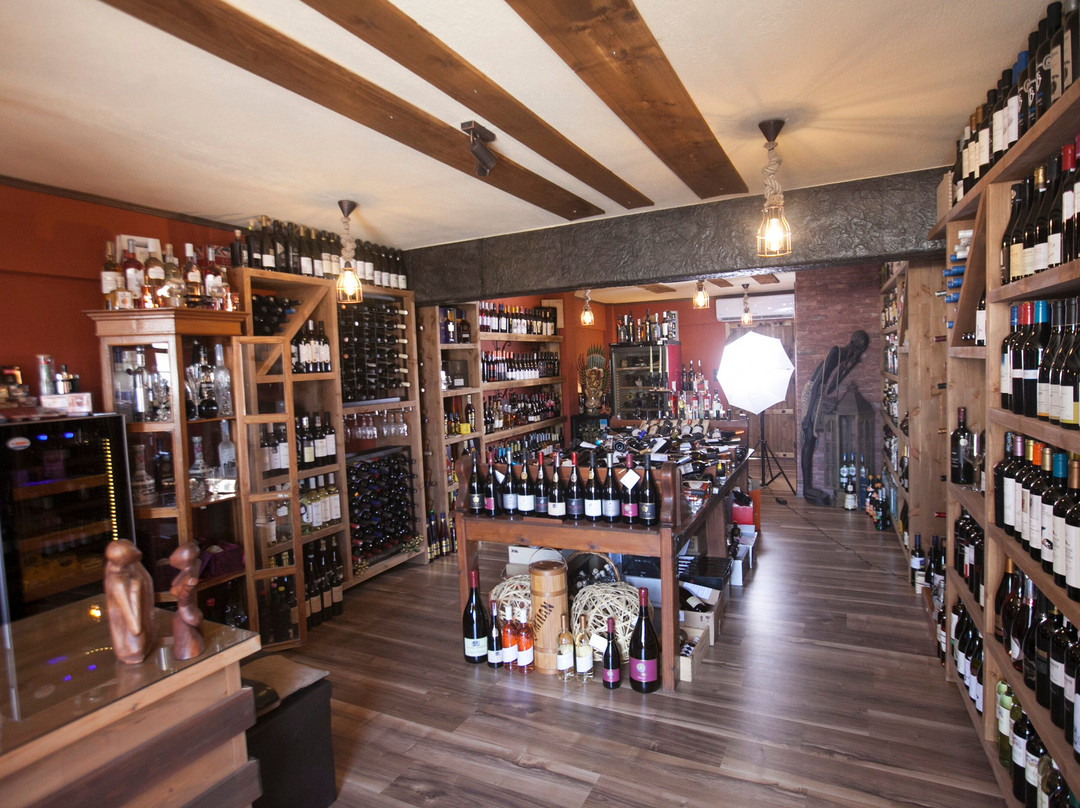 The Wine Room-卡利地亚必去景点