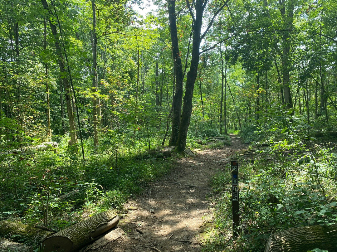 Raven Run Nature Sanctuary-列克星敦必去景点