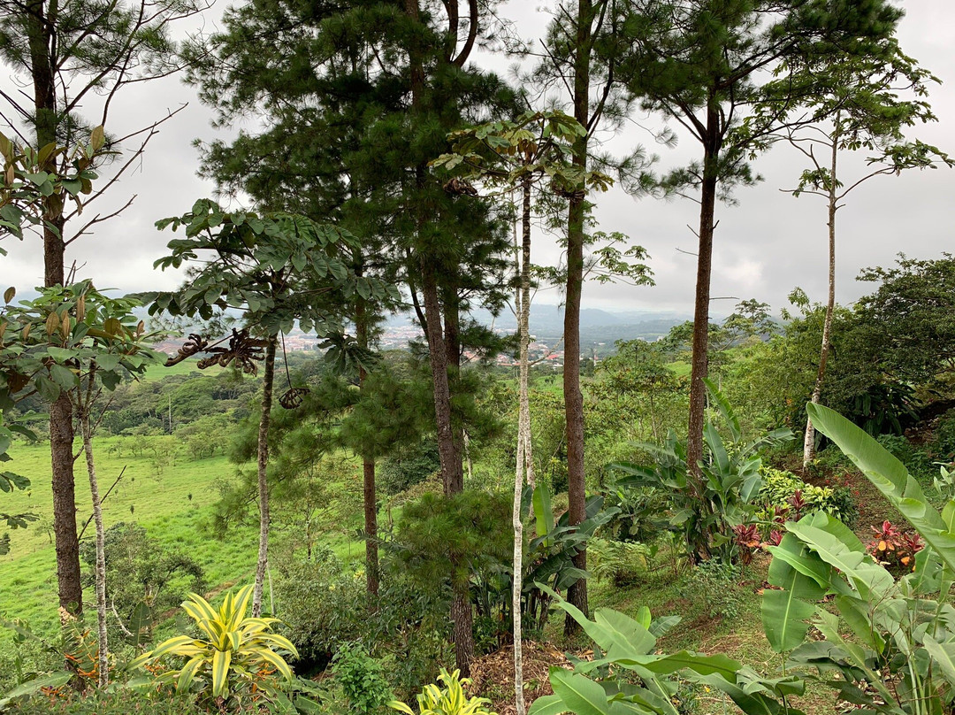 Eco Granja Don Lolo主图