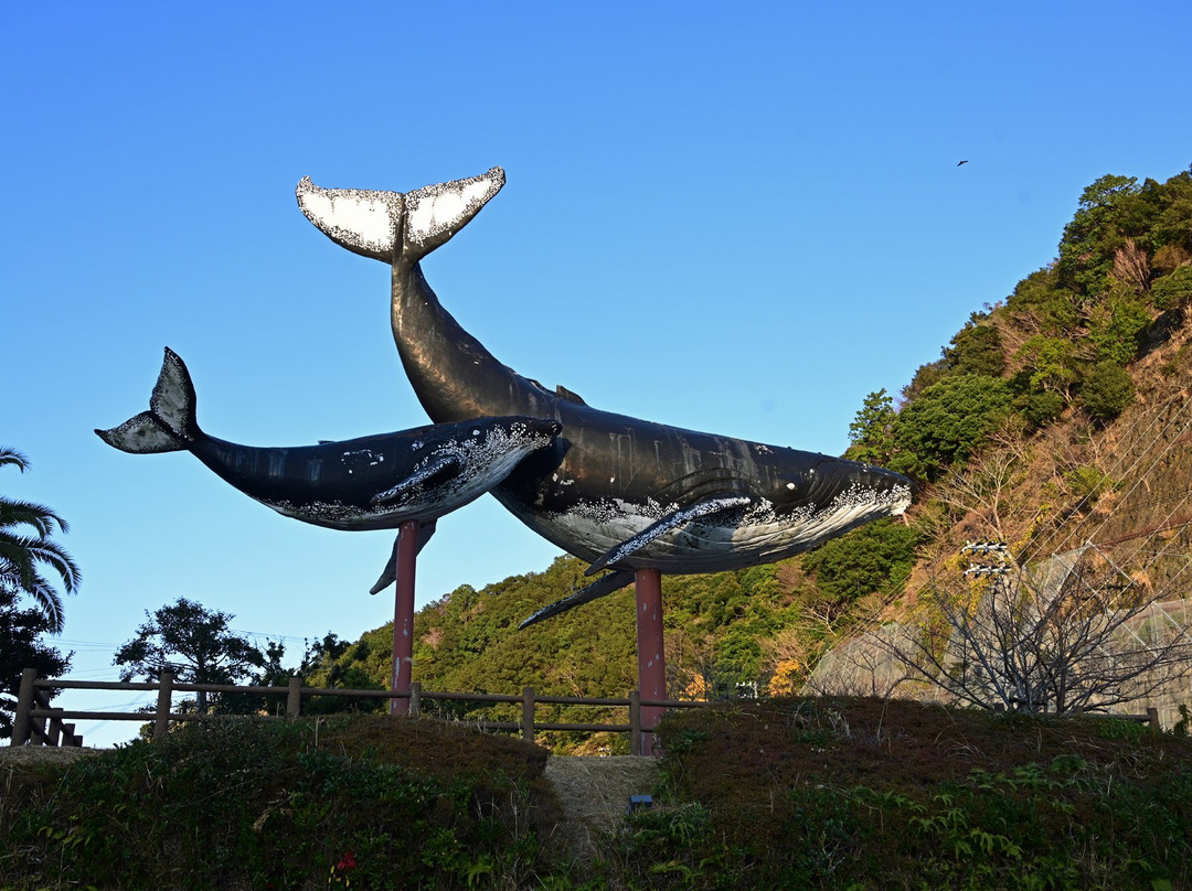 Taiji Kujirahama Park景点图片