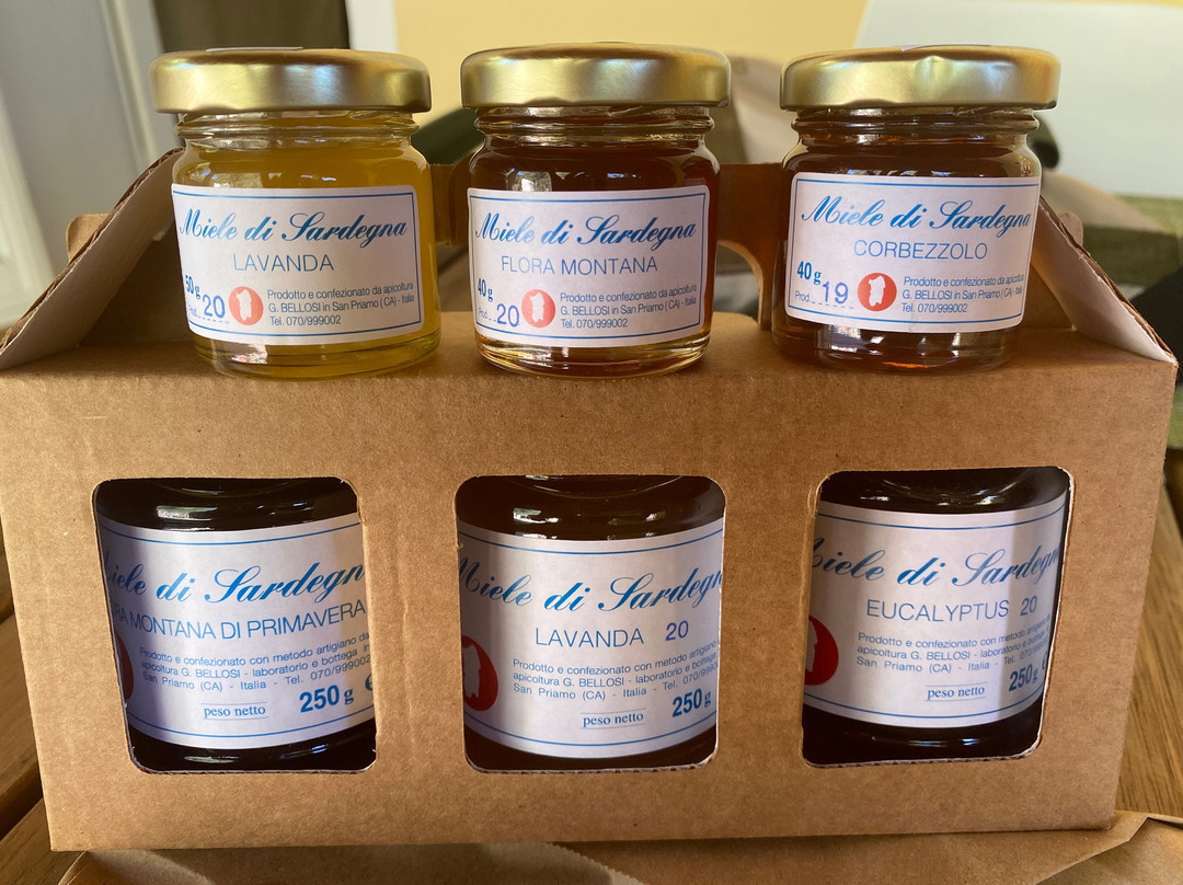 Apicoltura Bellosi-San Priamo必去景点