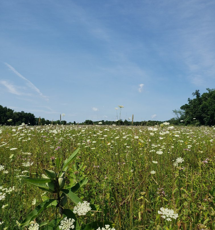 Kittatinny Valley State Park景点图片