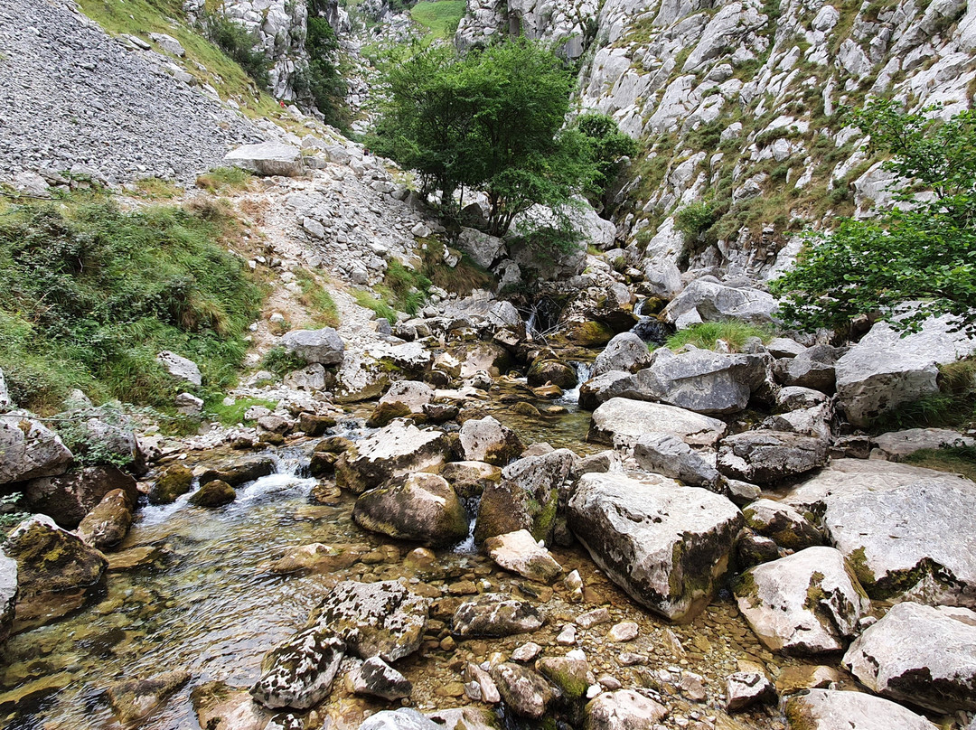 Mirador Naranjo de Bulnes景点图片