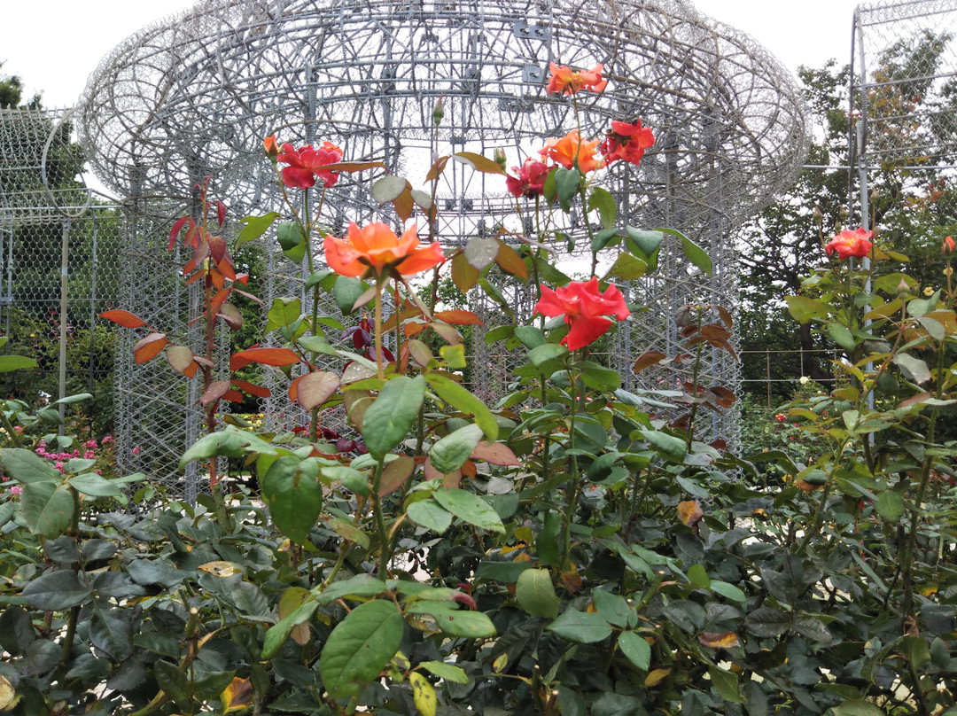 Odawara Flower Garden-小田原市必去景点