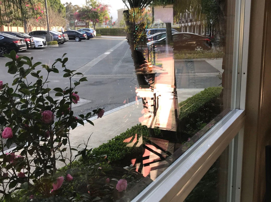 拉古娜山洛奇酒店主图