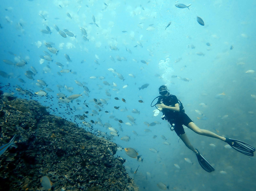 Chaloklum Diving景点图片
