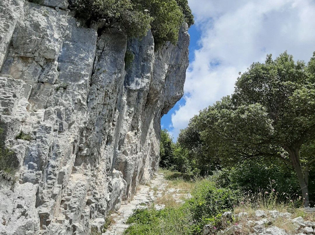 Monte Scalambra景点图片