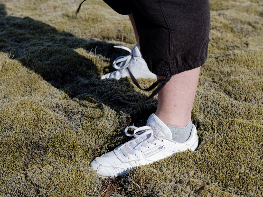 Berserkjahraun-Snaefellsbaer必去景点