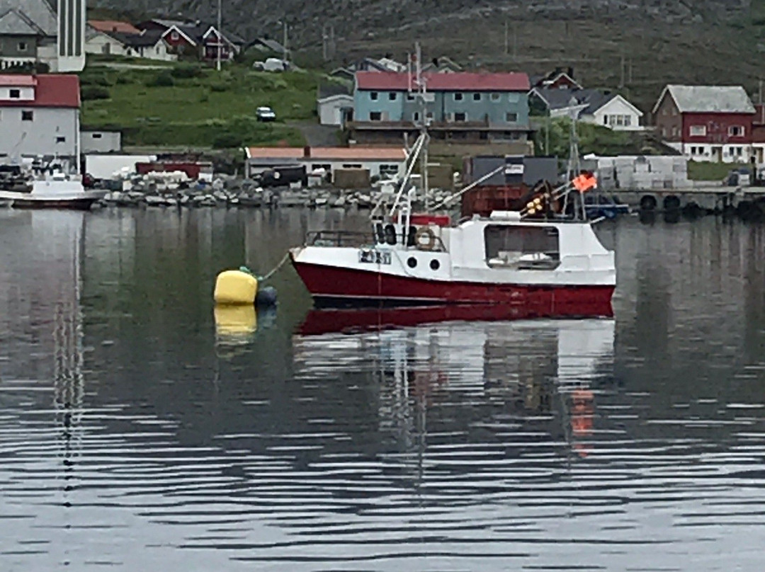 Nordkyn Nordic Safari-Mehamn必去景点