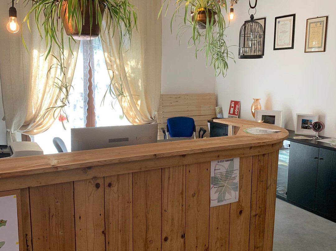 La Selce Farmhouse主图