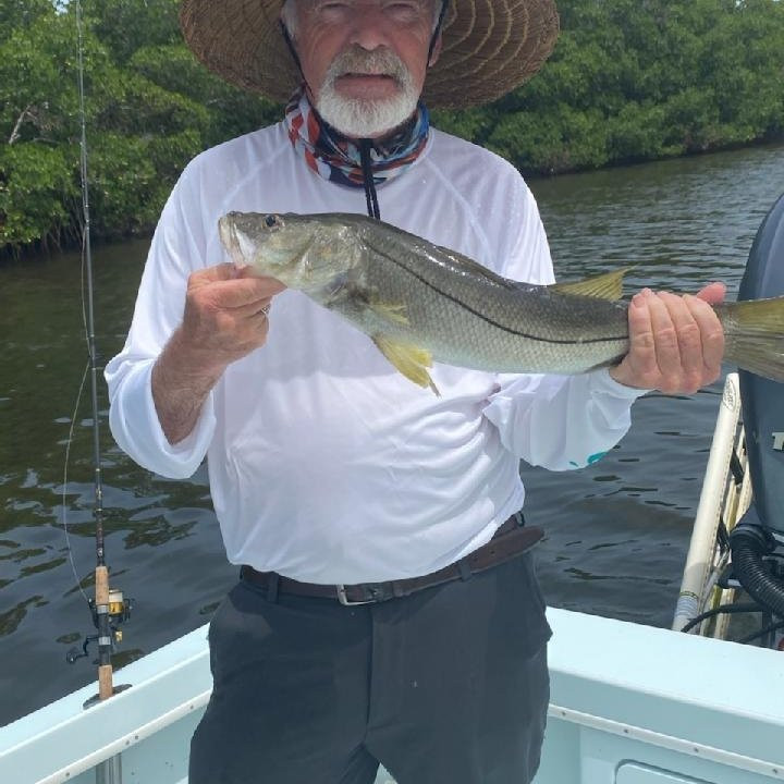 Wildman Adventures-萨拉索塔必去景点