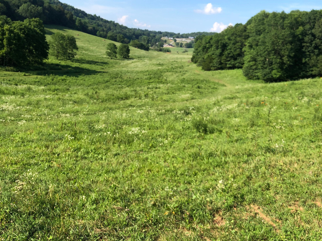 Jesse James Riding Stables-Cave City必去景点