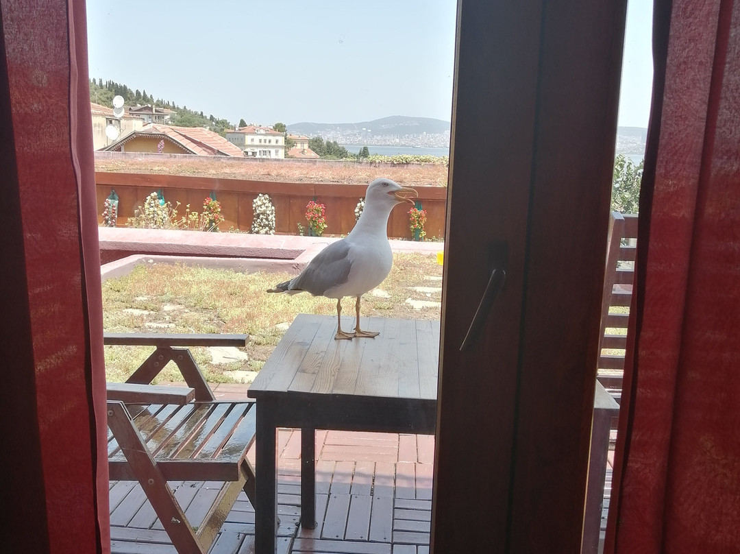 里索拉旅馆主图