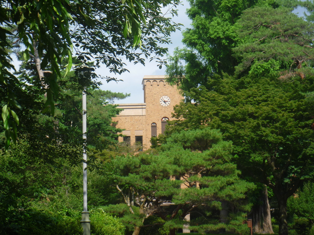 Hitotsubashi University Kunitachi Campus-国立市必去景点