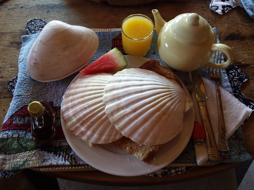 望海住宿加早餐旅馆主图