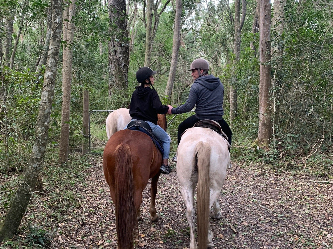 Perdepoort Horse Tails-荒野必去景点