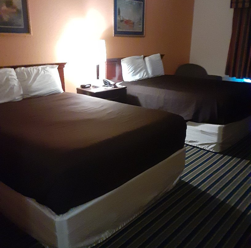 The Rutledge Inn主图