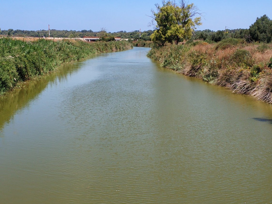Alexander Stream Hof Bet Yanai National Park-Netanya必去景点