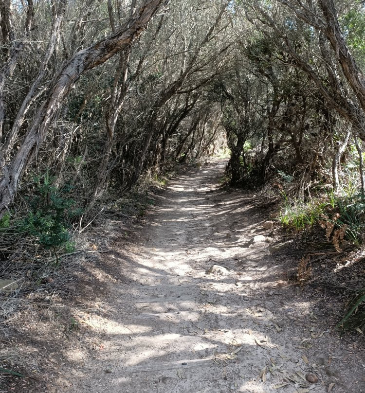 Henry Head Walking Track-La Perouse必去景点