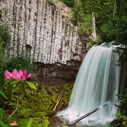 Lemolo Falls-罗斯堡必去景点