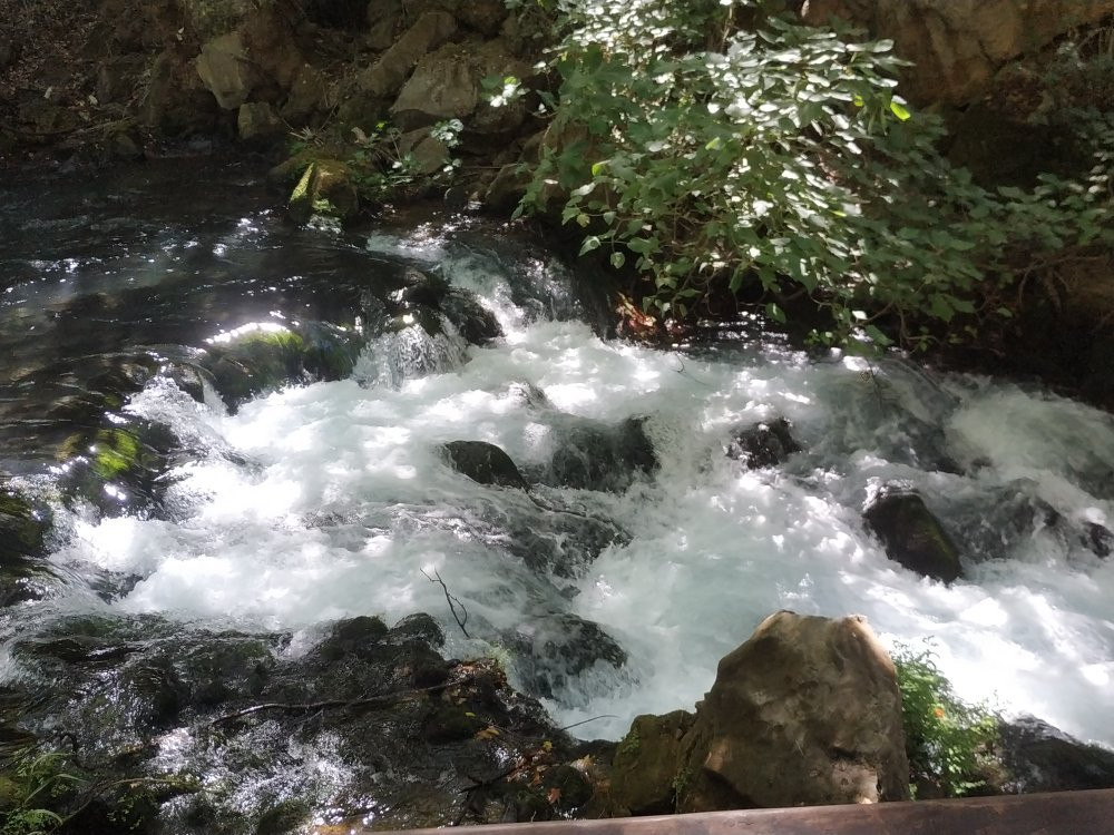 Banias Waterfall-Qiryat Shemona必去景点