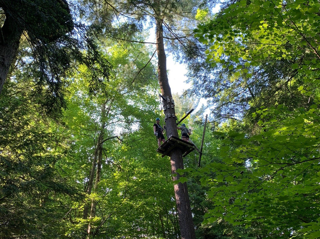 Treetop Eco-Adventure Park景点图片