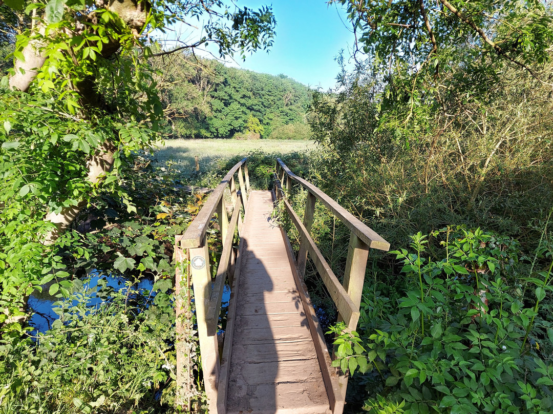 Brockadale Nature Reserve景点图片