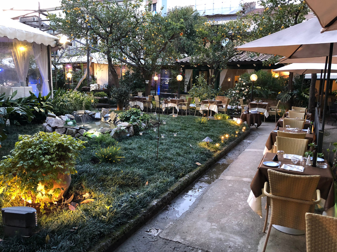 Cafè Latino Sorrento