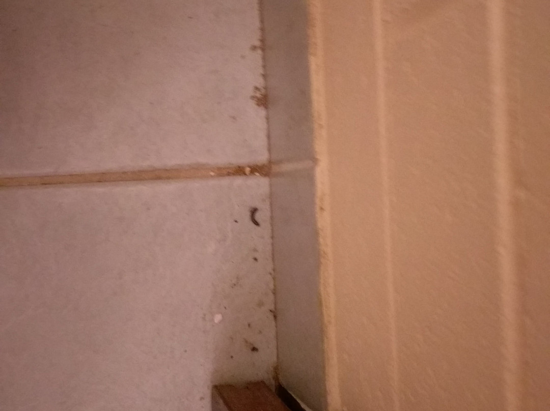 米勒平房汽车旅馆主图