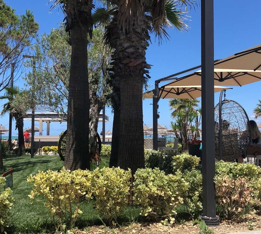 Supreme Hotel & Spa主图