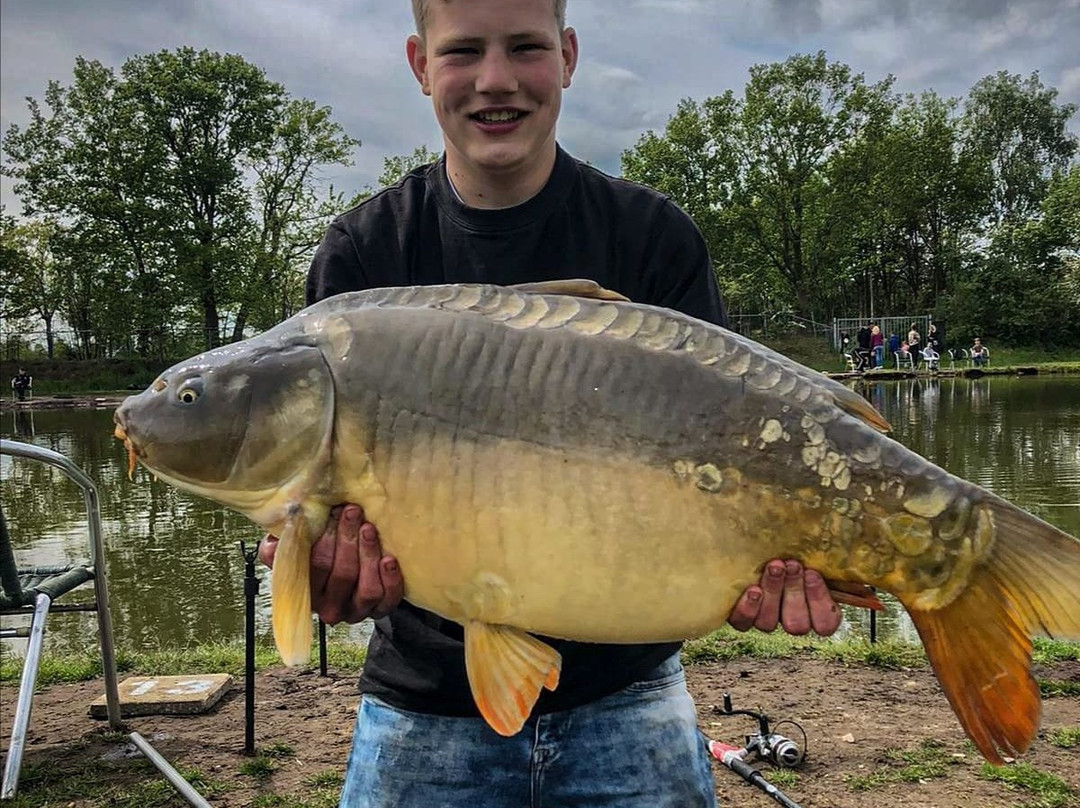 De Broekbeke-Geesteren必去景点