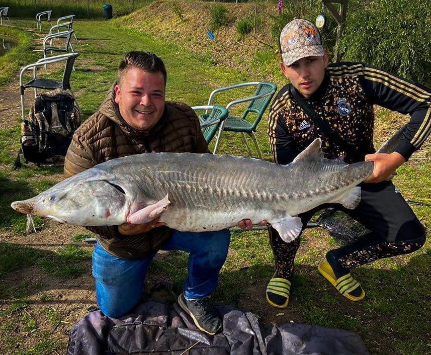 De Broekbeke-Geesteren必去景点