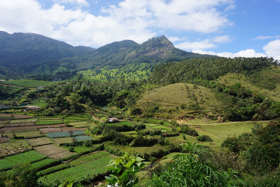 Rose Gardens Tours and Travels-慕那尔必去景点