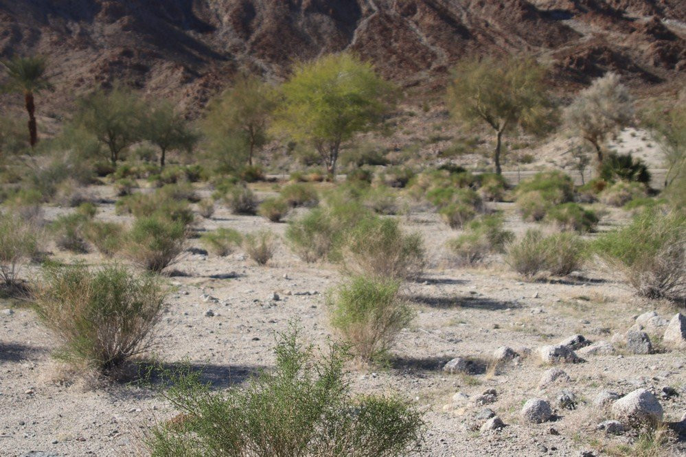Fred Wolff Bear Creek Nature Preserve